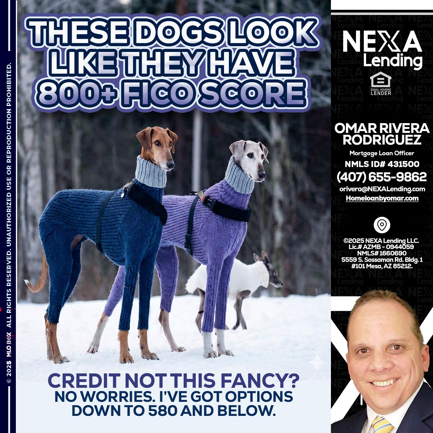 THESE DOGS LOOK - Omar Rivera Rodriguez -Mortgage Loan Officer